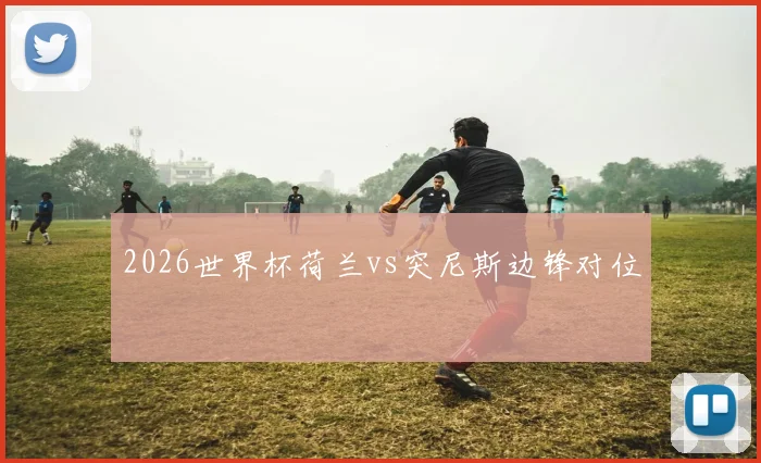 2026世界杯荷兰vs突尼斯边锋对位