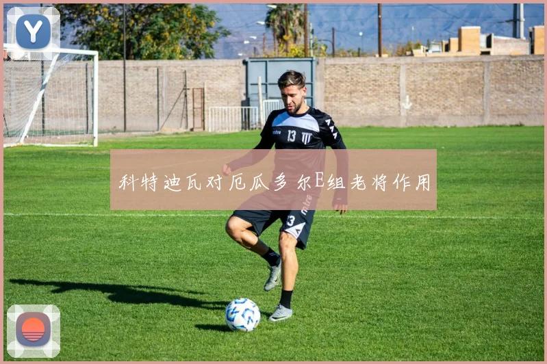 科特迪瓦对厄瓜多尔E组老将作用